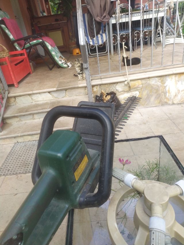 Recorta setos black decker