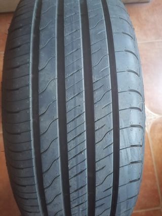 Neumático GOODYEAR 205/55 R16 91 V