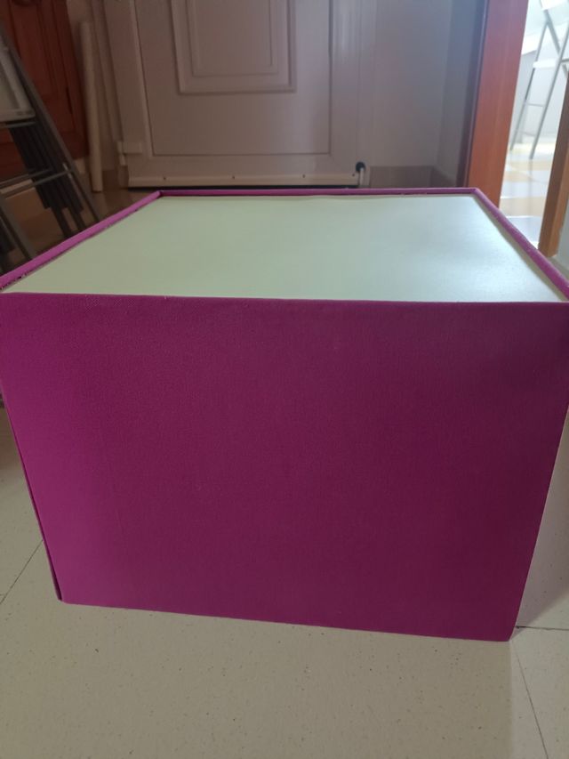 Tulipa de techo o lámpara de pie