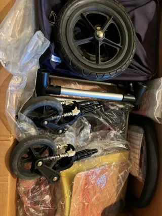 Carro Bugaboo Camaleón