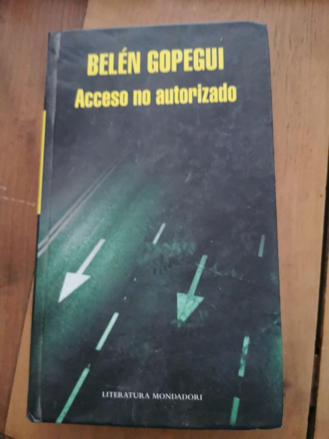 Belén Gopegui. Acceso no autorizado