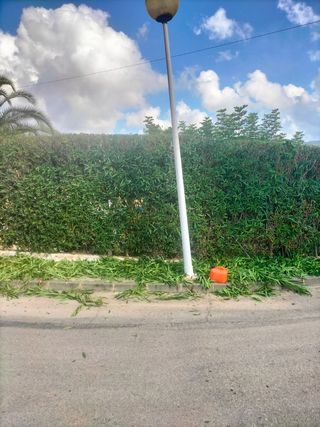 Poda y limpieza de jardines