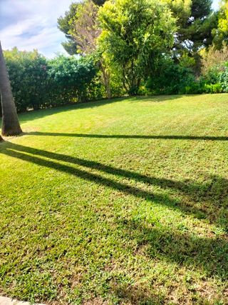 Poda y limpieza de jardines