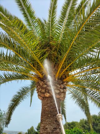 Poda y limpieza de jardines