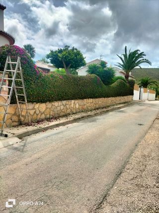 Poda y limpieza de jardines