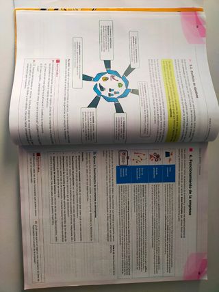 Economía de la empresa