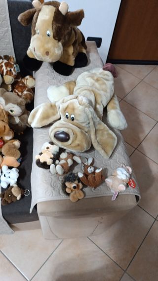 Peluche Trudi e non