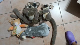Peluche Trudi e non