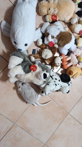 Peluche Trudi e non