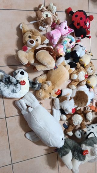 Peluche Trudi e non