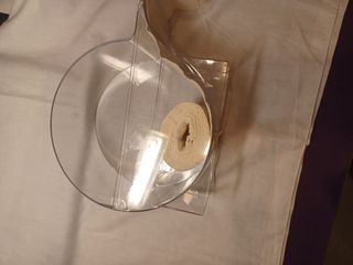 Porta cotone 