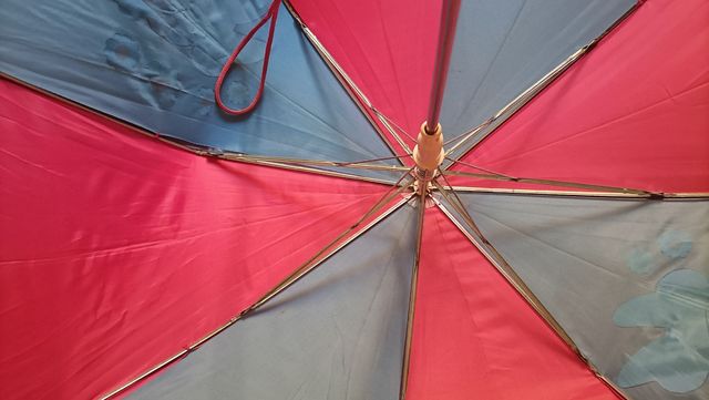 Paraguas para niños