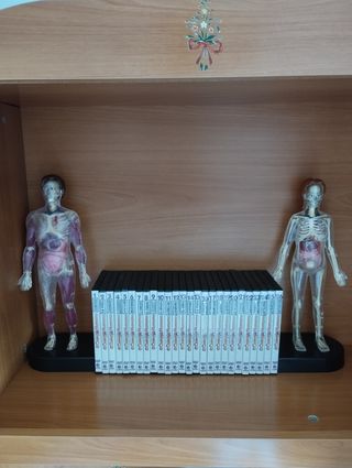 COLECCIÓN DIDÁCTICA EL CUERPO HUMANO