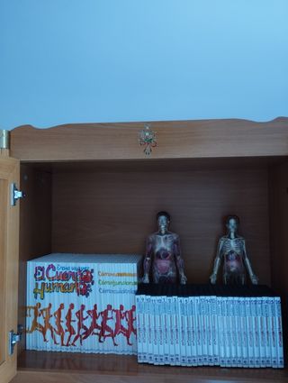 COLECCIÓN DIDÁCTICA EL CUERPO HUMANO