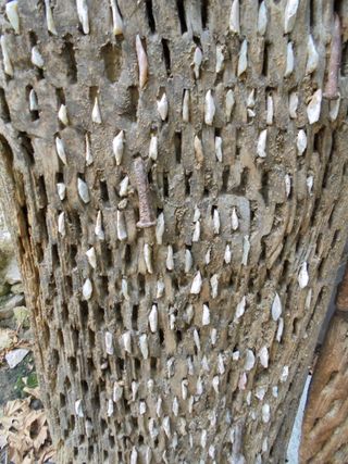 4 TABLAS DE ANTIGUO TRILLO CASTELLANO