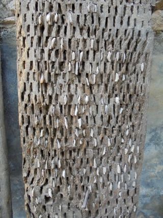 4 TABLAS DE ANTIGUO TRILLO CASTELLANO