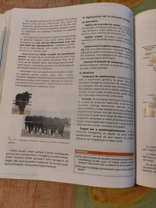 BIOLOGÍA I GEOLOGÍA 1º BACHILLERATO