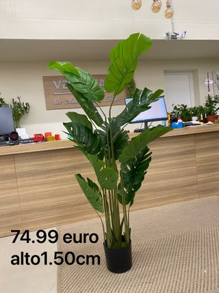 TODO EN DECORACIÓN PARA TU HOGAR Y JARDIN