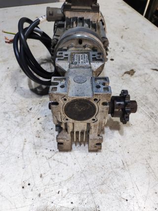 Motor reductor freno
