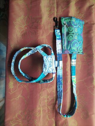 Conjunto de paseo para perros