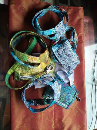 Conjunto de paseo para perros