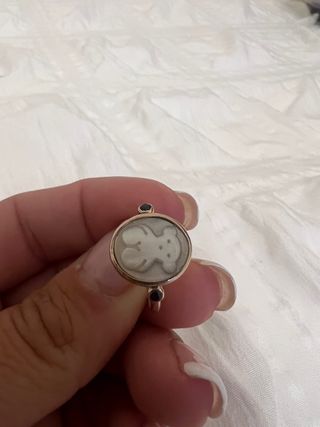 anillo