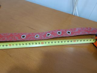 Hispanitas cinturón