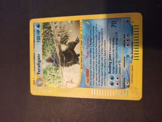 Pokemon Feraligatr holo