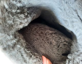 BOTAS DE NIEVE - GRIS