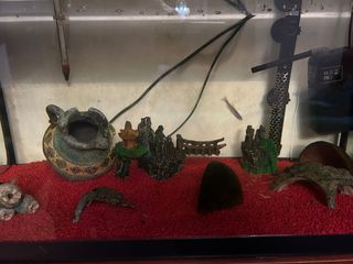 OFERTON Acuario 60 litros con todos los accesorios