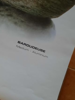 Poster Pubblicitario The Irony Of Swatch  Baroudeu