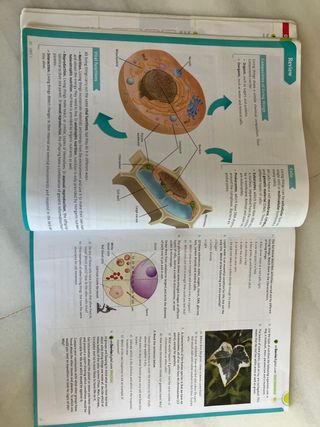 Libro de biologia y geologia 1ºESO SM