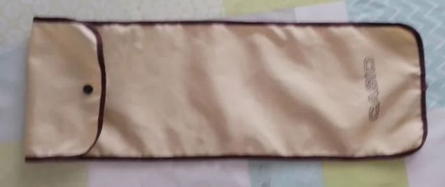 Casio PT-20 Electrónic Musical Instrument