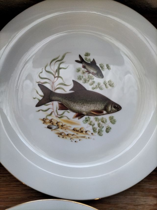 Servicio platos coleccionista pescado