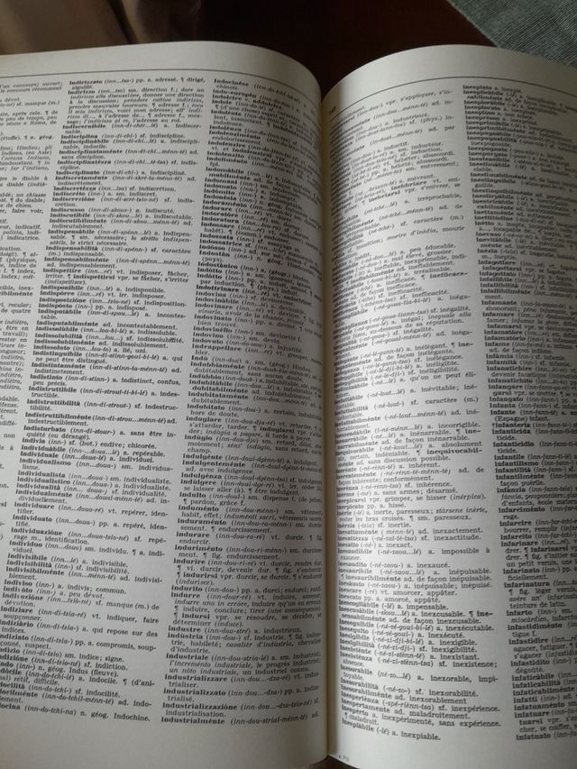 Dizionario francese/italiano