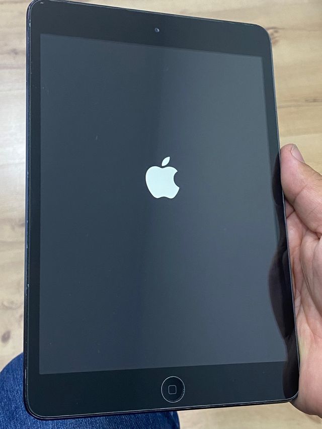 ipad mini 1
