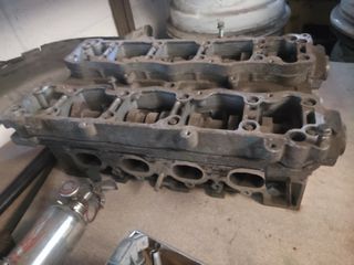 Culata nfu con árboles