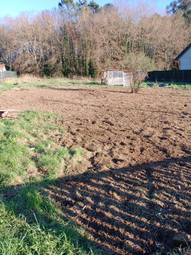 Desbroces de fincas y tala