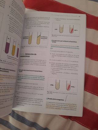 Microbiologia Clínica
