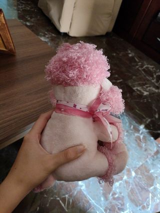 Peluche con marco de fotos