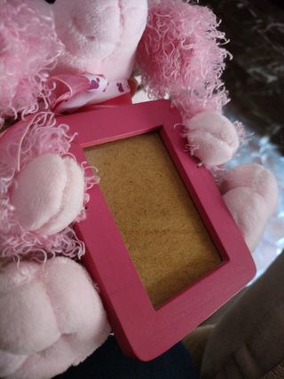 Peluche con marco de fotos