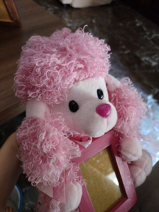 Peluche con marco de fotos