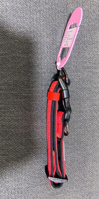 Conjunto trela e coleira laranja anti-puxões