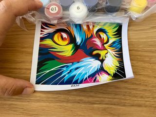 Gato - DIY Kit de pintura por números