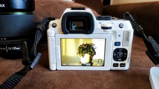 Pentax KS2 + 18-135 SMC DA WR