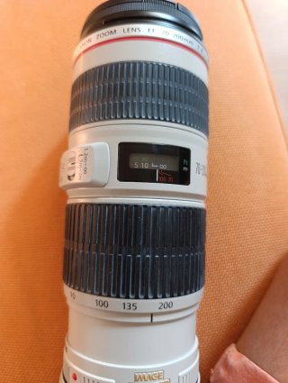 Canon zoom lens EF 70-200, 1:4 L IS USM + Extender