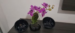 Orquídea artificial y vacía bolsillos.