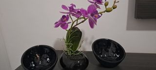 Orquídea artificial y vacía bolsillos.