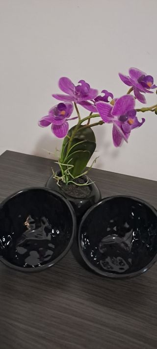 Orquídea artificial y vacía bolsillos.