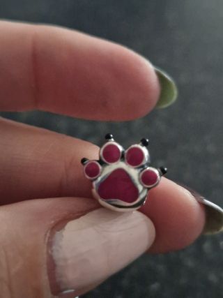 Charm plata huella perro que cambia de color con e